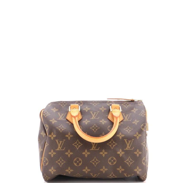 Speedy Handbag Monogram Canvas 25
