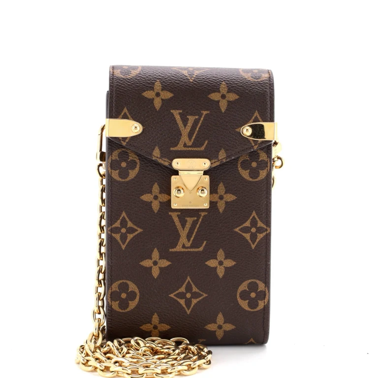 Metis Phone Pouch on Chain Monogram Canvas