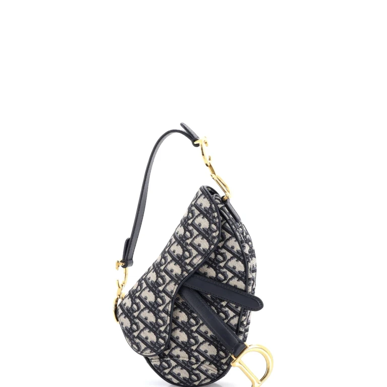 Saddle Handbag Oblique Canvas Mini