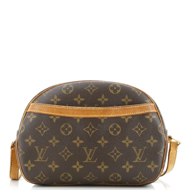 Blois Handbag Monogram Canvas