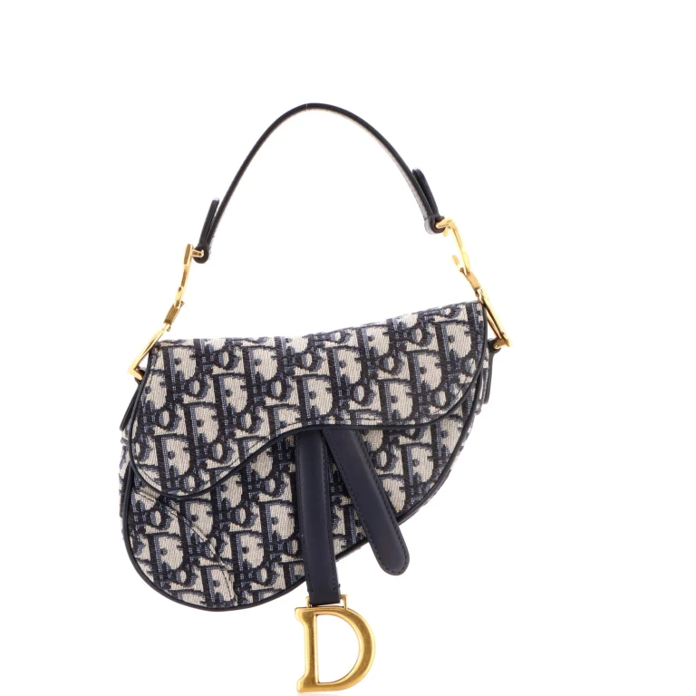 Saddle Handbag Oblique Canvas Mini