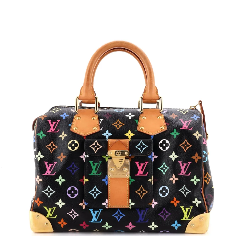 Speedy Handbag Monogram Multicolor 30