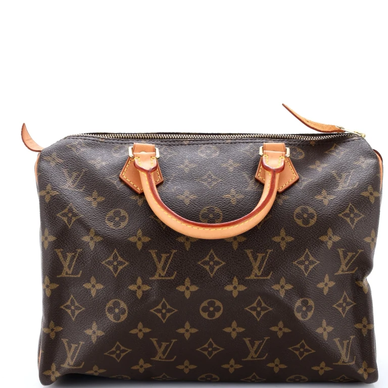 Speedy Handbag Monogram Canvas 30