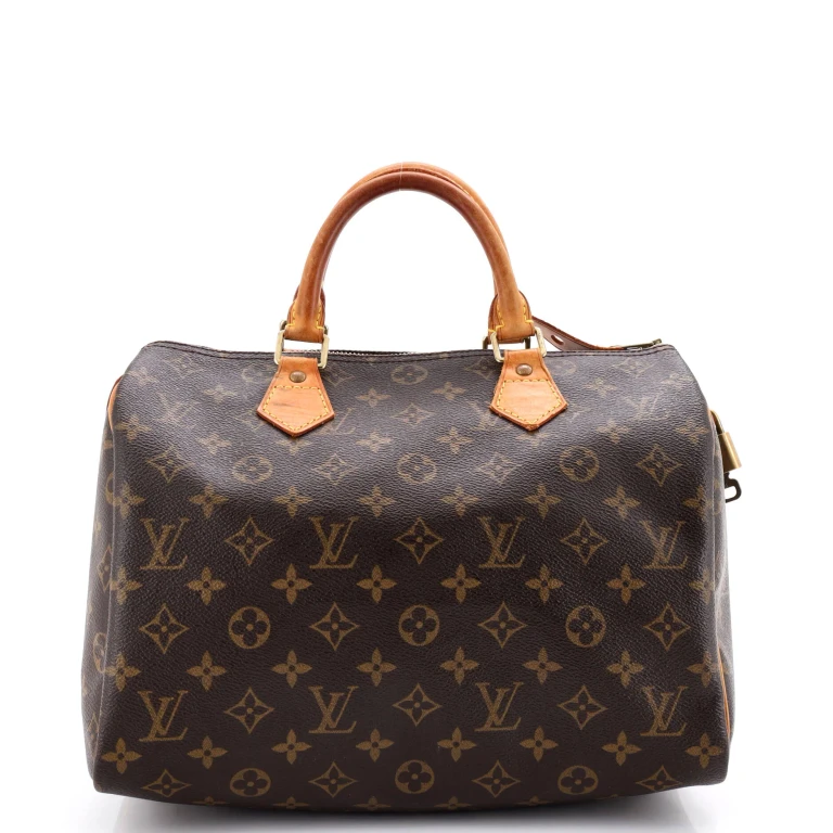 Speedy Handbag Monogram Canvas 30