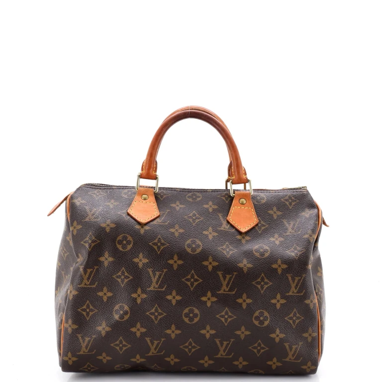 Speedy Handbag Monogram Canvas 30