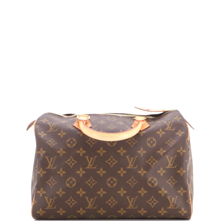 Speedy Handbag Monogram Canvas 30