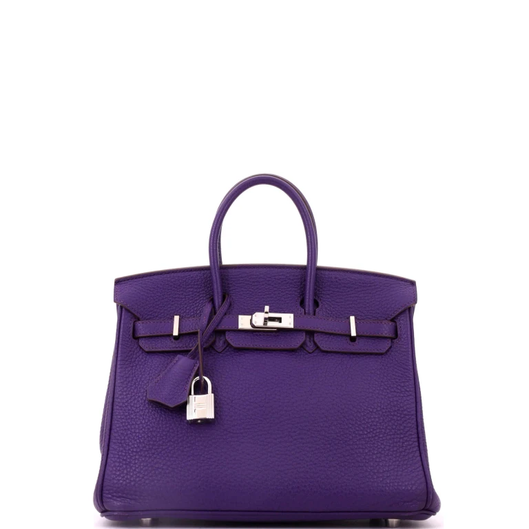 Birkin Handbag Iris Togo with Palladium Hardware 25