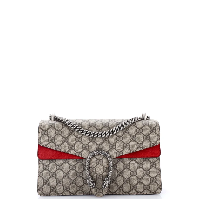 Dionysus Bag GG Coated Canvas Small