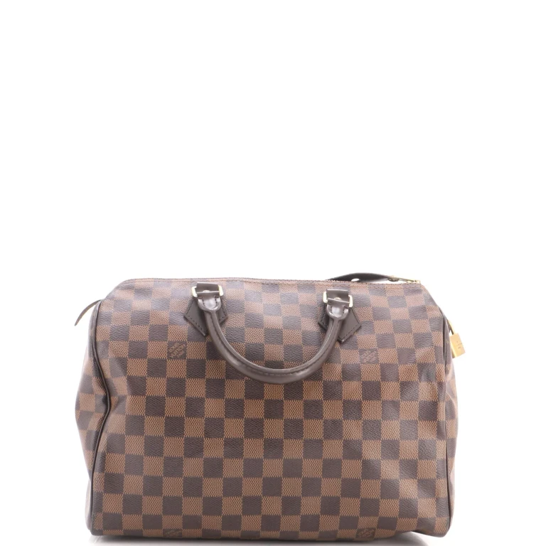 Speedy Handbag Damier 30