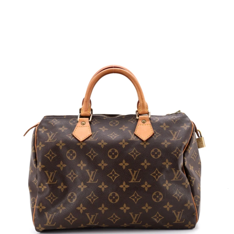 Speedy Handbag Monogram Canvas 30