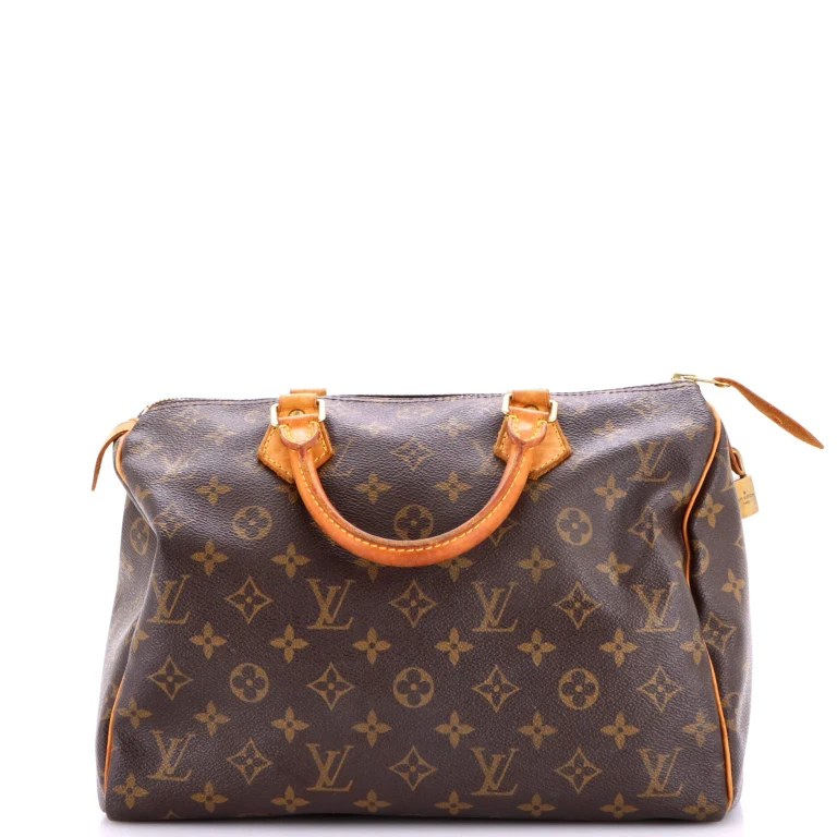 Speedy Handbag Monogram Canvas 30