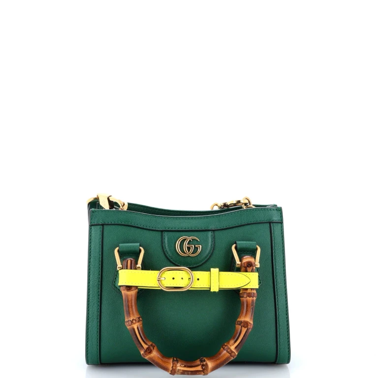 Diana NM Bamboo Handle Tote Leather Mini