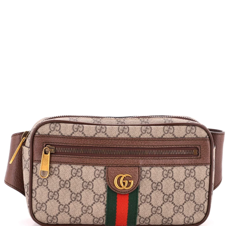 Ophidia Belt Bag GG Coated Canvas Medium