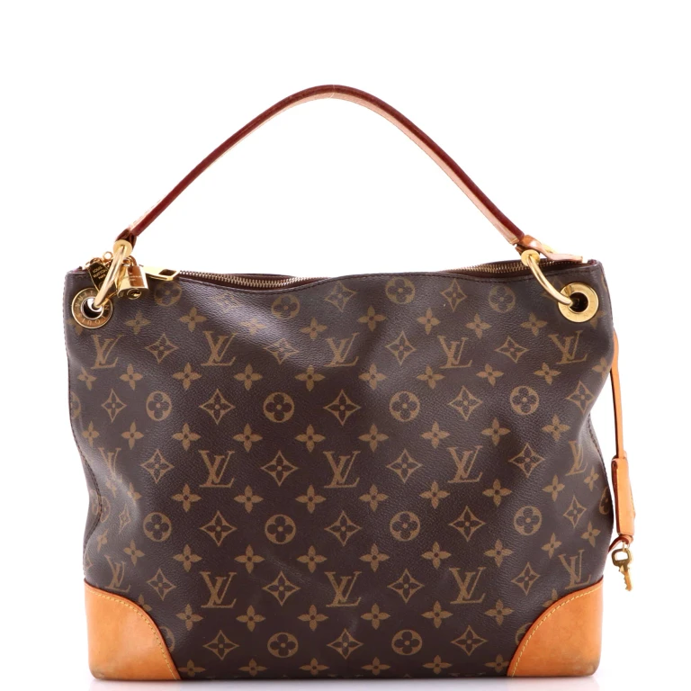 Berri Handbag Monogram Canvas PM