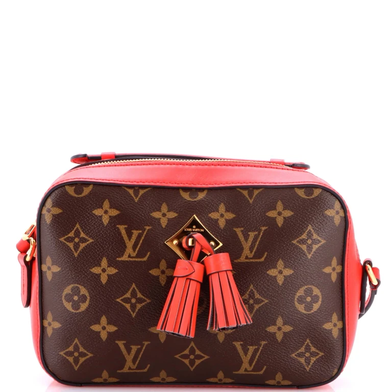Saintonge Handbag Monogram Canvas with Leather