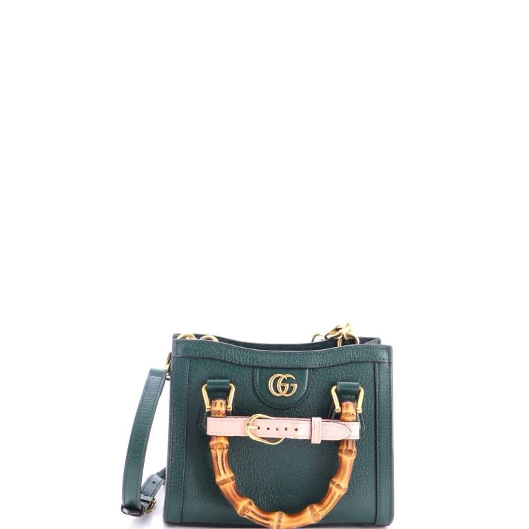 Diana NM Bamboo Handle Tote Leather Mini