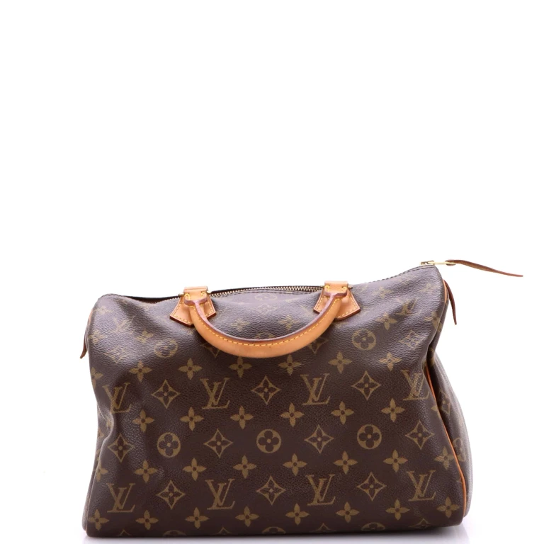 Speedy Handbag Monogram Canvas 30