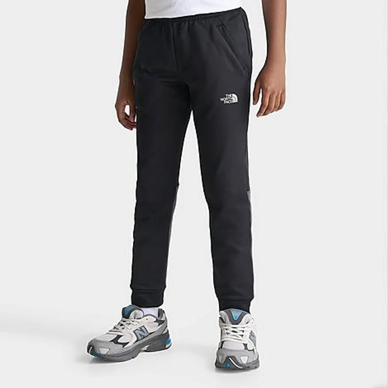Calça jogger Dalnum da The North Face
