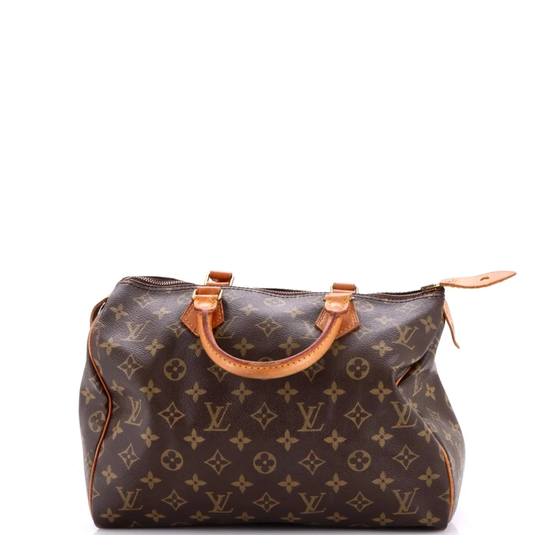 Speedy Handbag Monogram Canvas 30