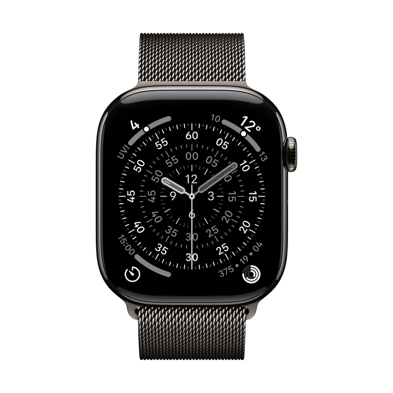 Apple MGJ64ZM/A smart wearable accessory Band Slate colour Stainless s