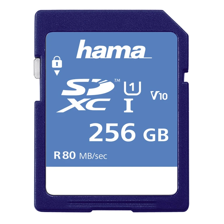 00123997 memory card 256 GB SDXC UHS-I Class 10