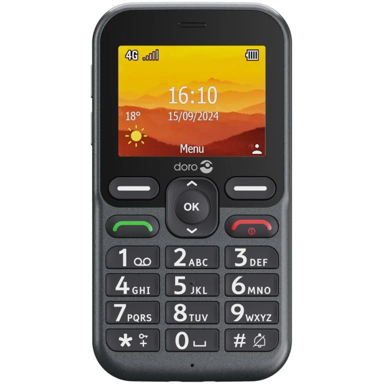 Leva L10 2.4" Mobile Phone (8740) - Graphite