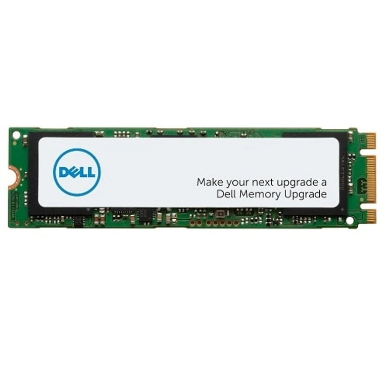 AA615519 internal solid state drive 256 GB M.2 PCI Express NVMe