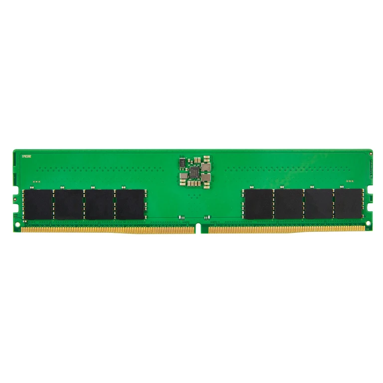 16GB DDR5 (1x16GB) 4800 UDIMM NECC Memory