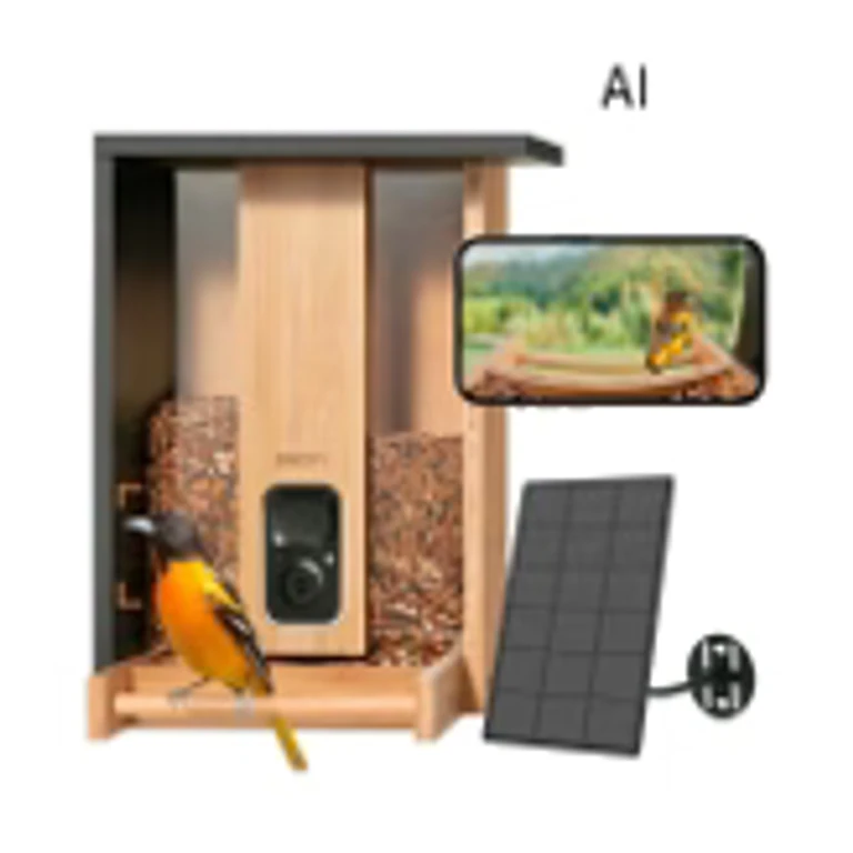 Feeder Bamboo Mini Bird Feeder With Camera