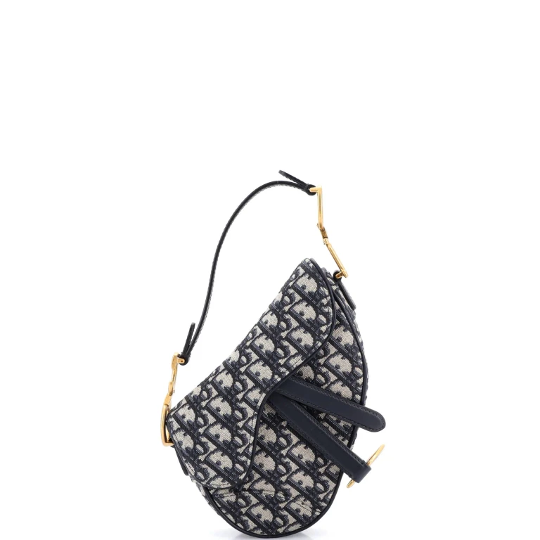 Saddle Handbag Oblique Canvas Mini
