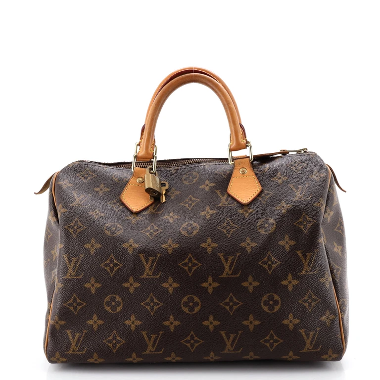Speedy Handbag Monogram Canvas 30