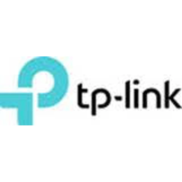 TP-LINK VIGI InSight PTZ5425 V1.6 - Network surveillance camera - PTZ