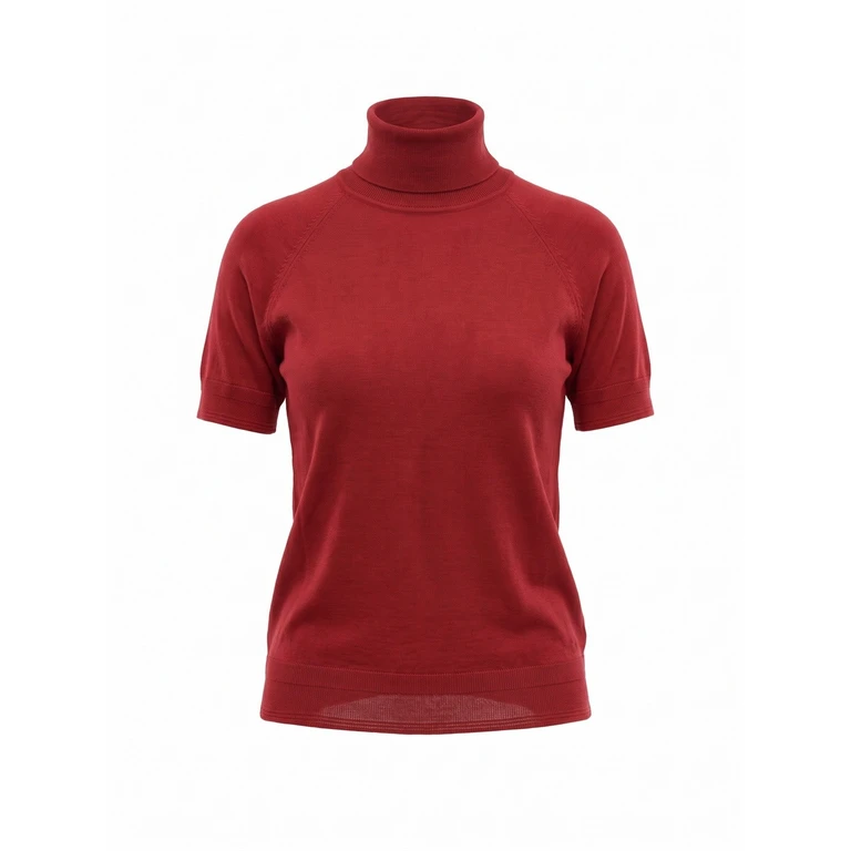 Turtleneck Short Sleeves Knit