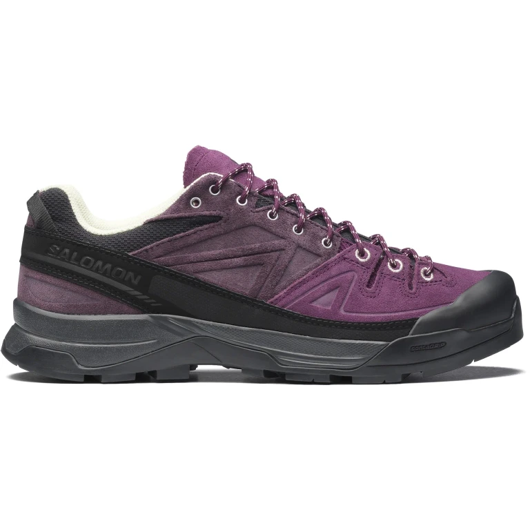 Men's X-ALP LTR Winter Bloom Plum Perfect Lime Cream