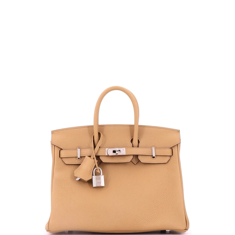 Birkin Handbag Biscuit Togo with Palladium Hardware 25