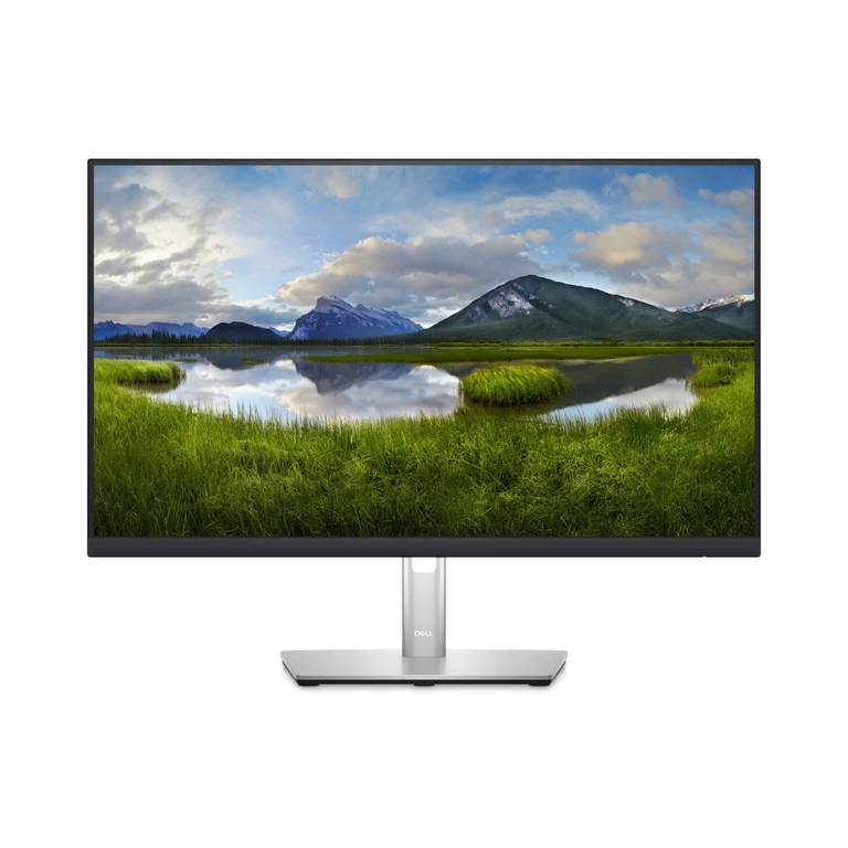 P Series 24 USB-C Hub Monitor - P2423DE