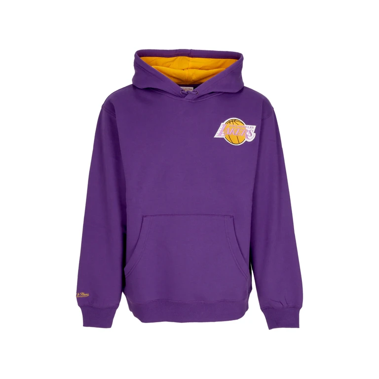 Men's Hoodie Nba Premium Fleece Vintage Logo Hoodie Ervin Johnson Loslak Purple