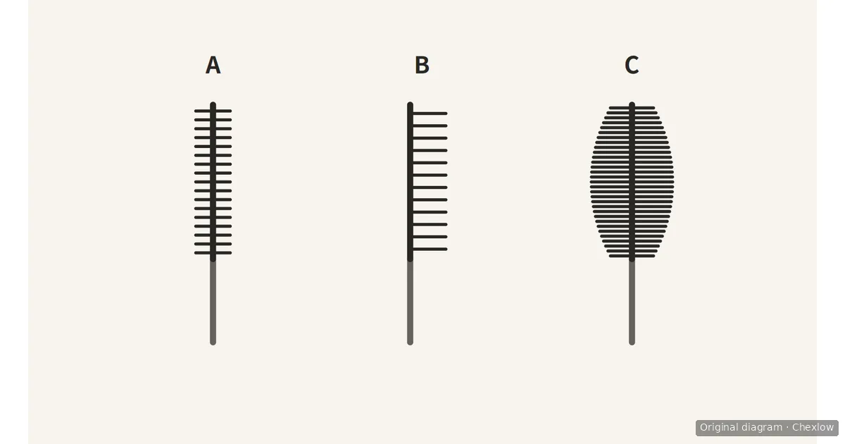 Diagram comparing a slim mascara brush A, a comb-style brush B and a fuller, densely bristled brush C