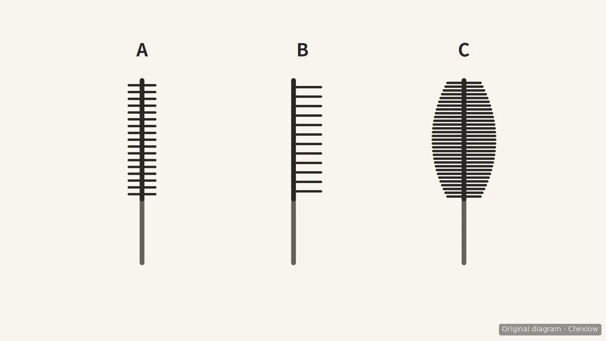 Diagram comparing a slim mascara brush A, a comb-style brush B and a fuller, densely bristled brush C