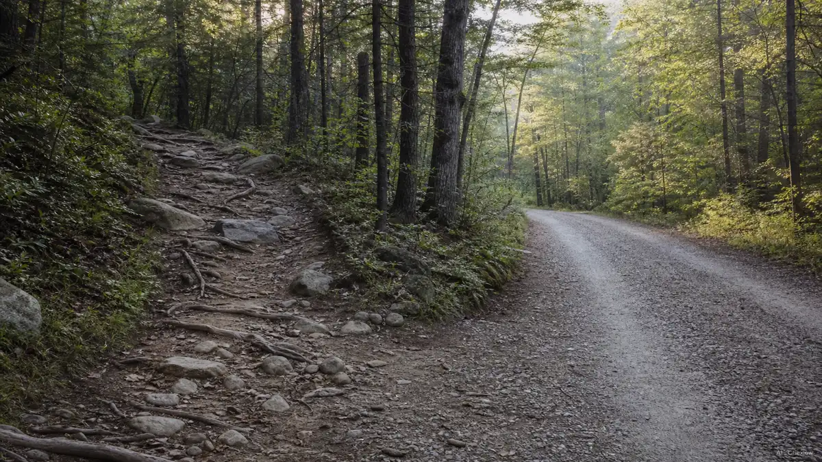 Image: A single trail splitting into two paths, one a rocky technical singletrack with exposed roots, one a smooth wide gravel fire road through trees, soft morning light, no people or logos visible (AI generated illustration)